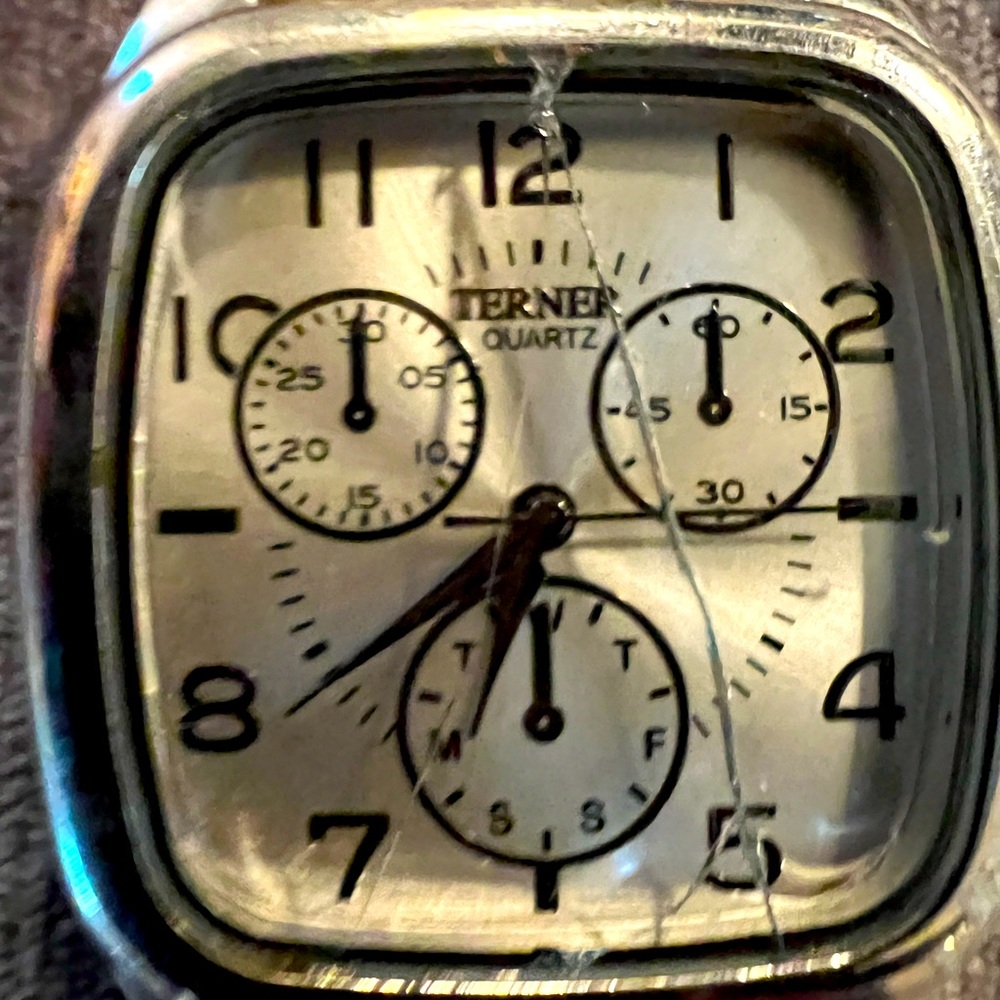 Terner Quartz watch